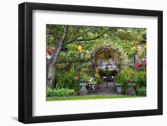 Rose Garden at Butchard Gardens in Full Bloom, Victoria, British Columbia, Canada-Terry Eggers-Framed Photographic Print