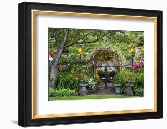 Rose Garden at Butchard Gardens in Full Bloom, Victoria, British Columbia, Canada-Terry Eggers-Framed Photographic Print