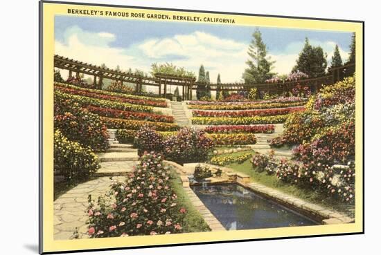 Rose Garden, Berkeley, California-null-Mounted Art Print