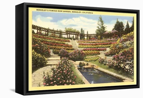 Rose Garden, Berkeley, California-null-Framed Stretched Canvas