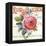 Rose Garden I-Lisa Audit-Framed Stretched Canvas