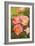 Rose Garden II-Karyn Millet-Framed Photographic Print