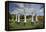 Rose Garden, Manito Park, Spokane, Washington, USA-Charles Gurche-Framed Premier Image Canvas