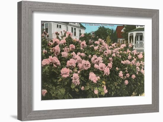 Rose Garden, Portland, Oregon-null-Framed Art Print