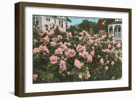 Rose Garden, Portland, Oregon-null-Framed Art Print