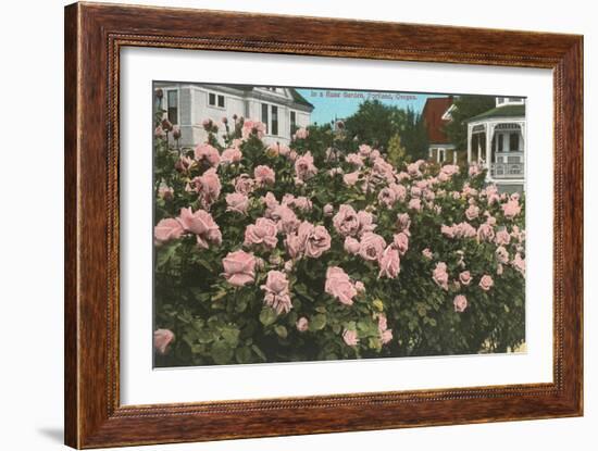 Rose Garden, Portland, Oregon-null-Framed Art Print