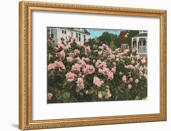 Rose Garden, Portland, Oregon-null-Framed Art Print