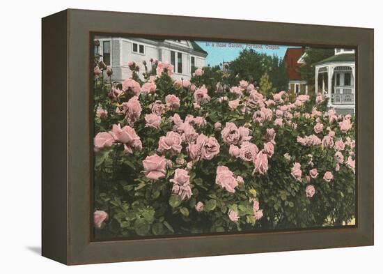 Rose Garden, Portland, Oregon-null-Framed Stretched Canvas