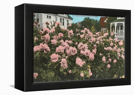 Rose Garden, Portland, Oregon-null-Framed Stretched Canvas