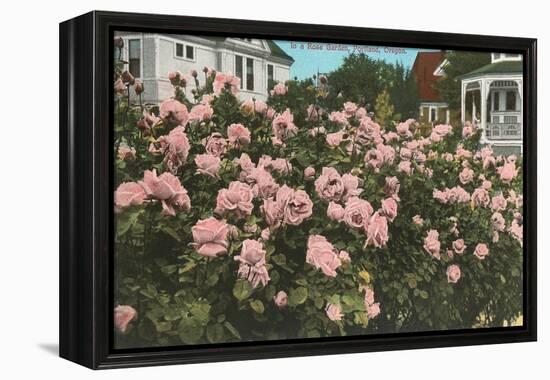 Rose Garden, Portland, Oregon-null-Framed Stretched Canvas