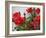 Rose Garden-Nicole Katano-Framed Photo