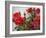 Rose Garden-Nicole Katano-Framed Photo