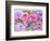 Rose Garden-Neela Pushparaj-Framed Giclee Print