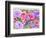 Rose Garden-Neela Pushparaj-Framed Giclee Print