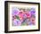 Rose Garden-Neela Pushparaj-Framed Giclee Print