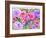 Rose Garden-Neela Pushparaj-Framed Giclee Print