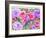 Rose Garden-Neela Pushparaj-Framed Giclee Print