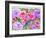 Rose Garden-Neela Pushparaj-Framed Giclee Print