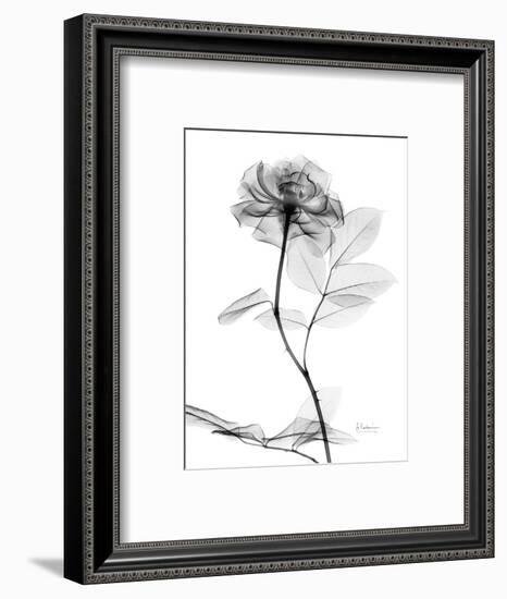 Rose Gray A-Albert Koetsier-Framed Premium Giclee Print