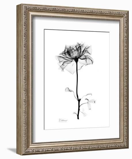 Rose Gray-Albert Koetsier-Framed Art Print