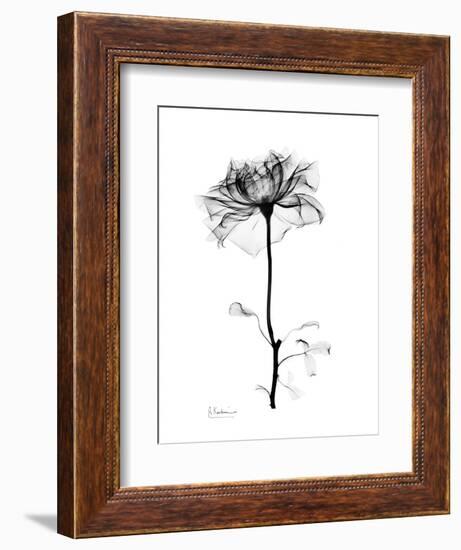 Rose Gray-Albert Koetsier-Framed Art Print