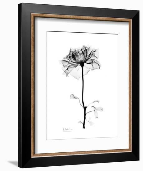 Rose Gray-Albert Koetsier-Framed Art Print