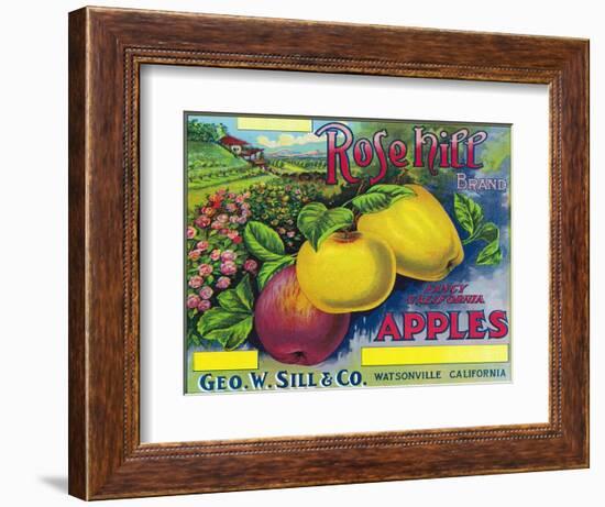 Rose Hill Brand Apple Label, Watsonville, California-Lantern Press-Framed Art Print