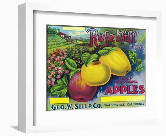 Rose Hill Brand Apple Label, Watsonville, California-Lantern Press-Framed Art Print