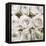 Rose In Bloom Square-Gail Peck-Framed Stretched Canvas