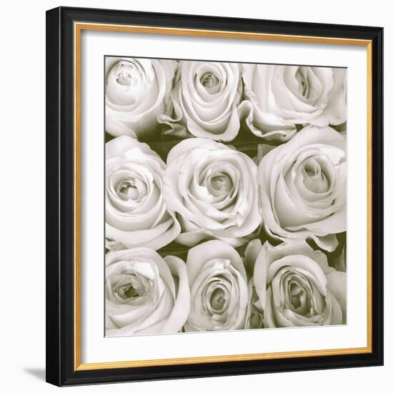 Rose In Bloom Square-Gail Peck-Framed Art Print