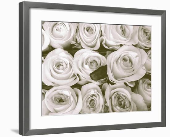 Rose in Bloom-Gail Peck-Framed Art Print