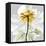 Rose in Gold 2-Albert Koetsier-Framed Premier Image Canvas