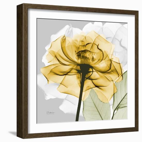 Rose in Gold 4-Albert Koetsier-Framed Art Print