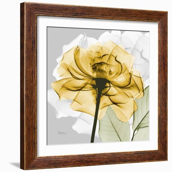 Rose in Gold 4-Albert Koetsier-Framed Art Print