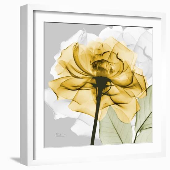 Rose in Gold 4-Albert Koetsier-Framed Art Print