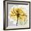 Rose in Gold 4-Albert Koetsier-Framed Art Print