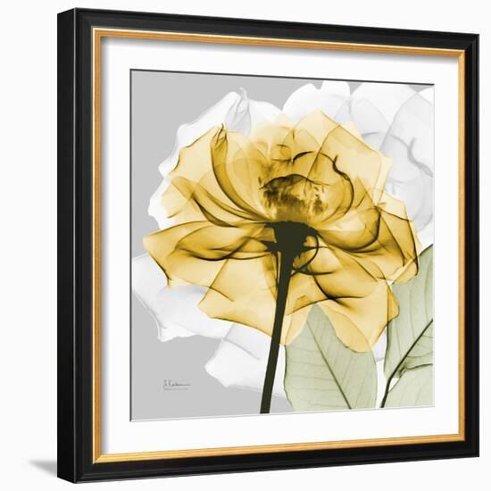 Rose in Gold 4-Albert Koetsier-Framed Art Print