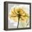 Rose in Gold 4-Albert Koetsier-Framed Stretched Canvas