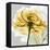 Rose in Gold 4-Albert Koetsier-Framed Stretched Canvas