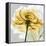 Rose in Gold 4-Albert Koetsier-Framed Stretched Canvas