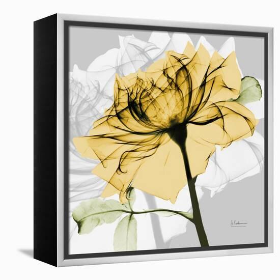 Rose in Gold 5-Albert Koetsier-Framed Stretched Canvas