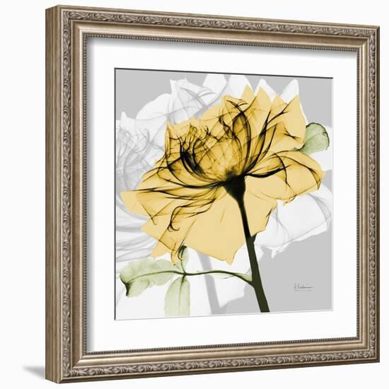 Rose in Gold 5-Albert Koetsier-Framed Art Print