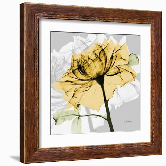 Rose in Gold 5-Albert Koetsier-Framed Art Print