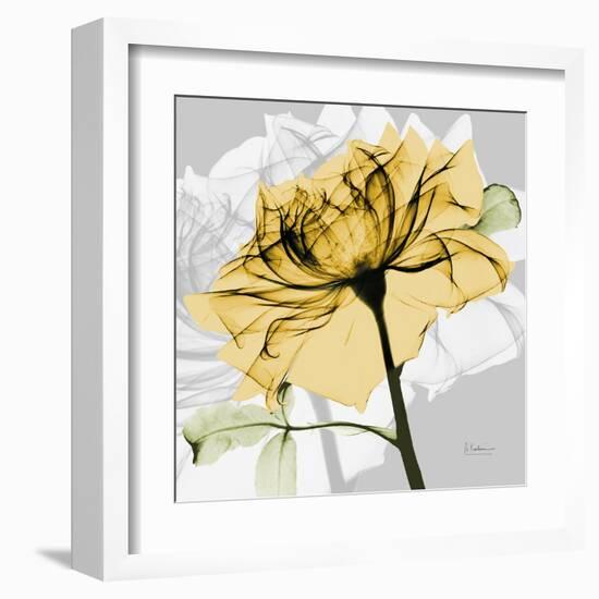 Rose in Gold 5-Albert Koetsier-Framed Art Print