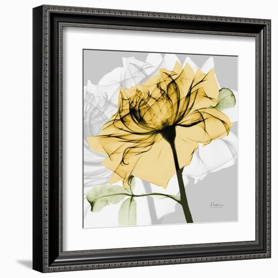 Rose in Gold 5-Albert Koetsier-Framed Art Print