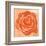 Rose in Orange-Anna Flores-Framed Art Print