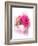 Rose in Teacup, 2017-John Keeling-Framed Giclee Print