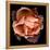 Rose Just Joey-Magda Indigo-Framed Premier Image Canvas