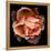 Rose Just Joey-Magda Indigo-Framed Stretched Canvas