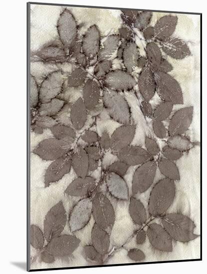 Rose Leaves-Kathryn Phillips-Mounted Art Print